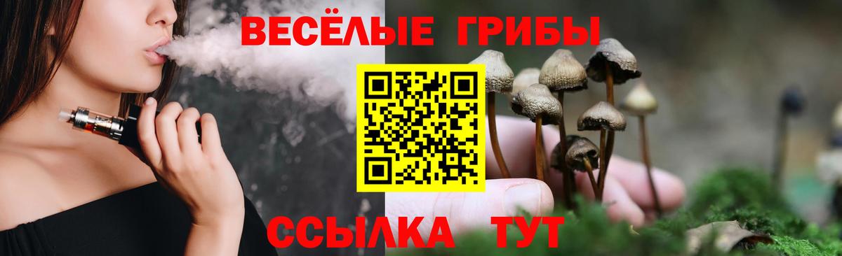 Псилоцибиновые грибы прущие грибы  Вход с VPN  Тимашёвск 